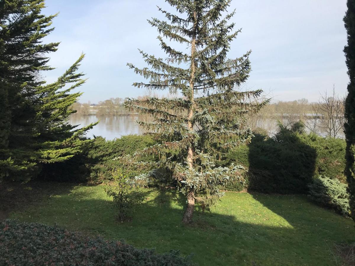Couette-café Nuit Sur Loire Treves-Cunault